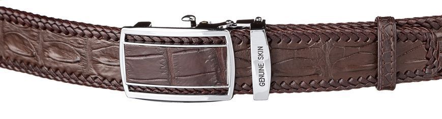 Men's automatic belt CROCODILE LEATHER 18036 made of genuine crocodile leather Brown 18036 фото
