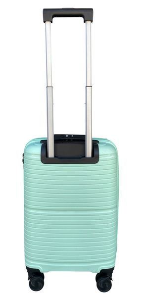 Suitcase Carbon 65803 мятный Small S