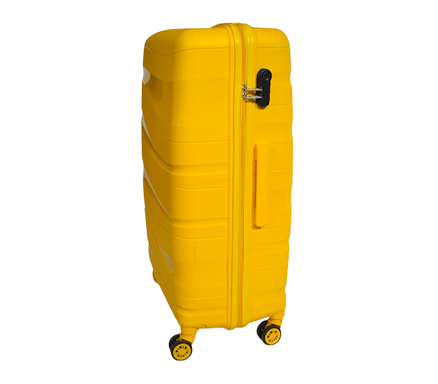 Suitcase Carbon 2010 Medium M Yellow 2010/63/50 фото