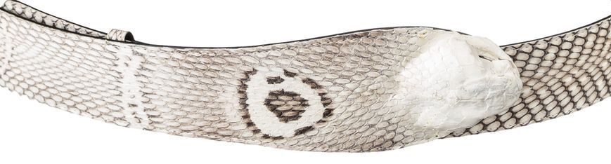Ремень SNAKE LEATHER 18199 из натуральной кожи кобры Белый 18199 фото