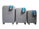 Suitcase Carbon 2020 Gray Suitcase set 2020/52/68 фото 1