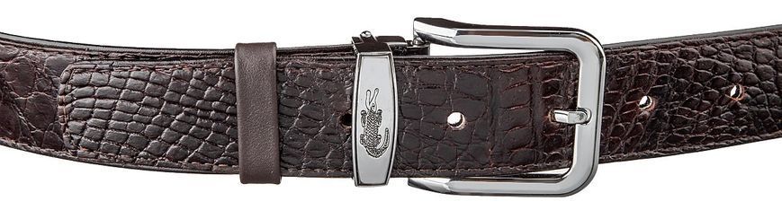 Ремінь CROCODILE LEATHER 18603 з натуральної шкіри крокодила Коричневий 18603 фото