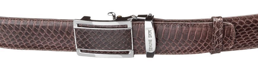 Automatic belt SNAKE LEATHER 18166 made of genuine cobra leather Brown 18166 фото