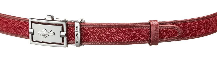Thin automatic belt STINGRAY LEATHER 18650 made of genuine stingray leather Burgundy 18650 фото