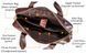 Men's leather business bag Vintage 14792 Brown 14792 фото 7